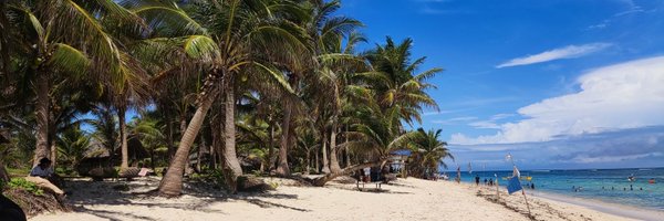 twt_max2 Profile Banner