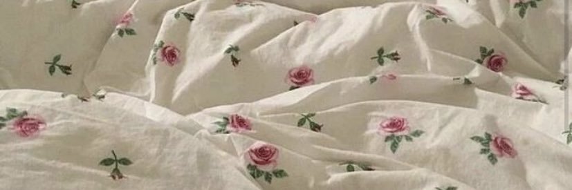 princessbunbunberry banner