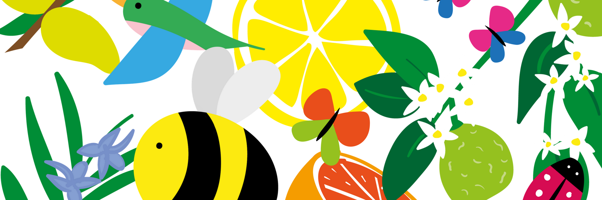 PureLightCandle's profile banner image