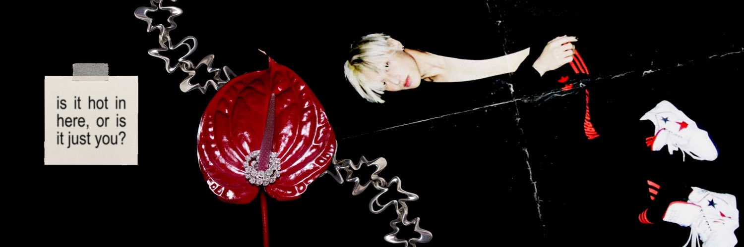 alien ⋆˙'s banner