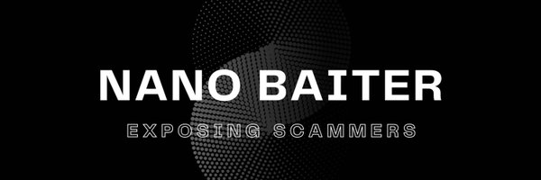 NanoBaiter Profile Banner