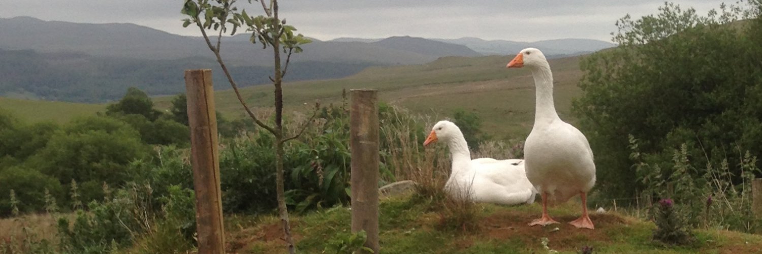 PlodsCorner's profile banner image
