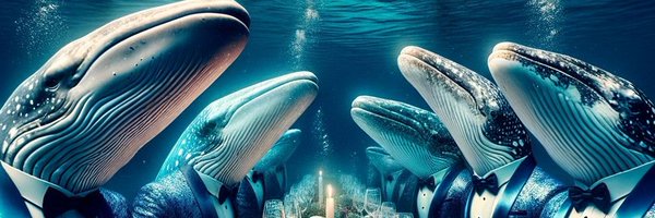 Whale_Devs Profile Banner