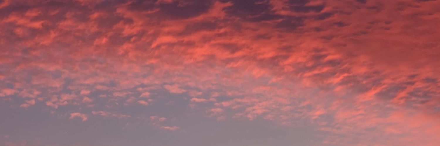 INEScitalopram banner