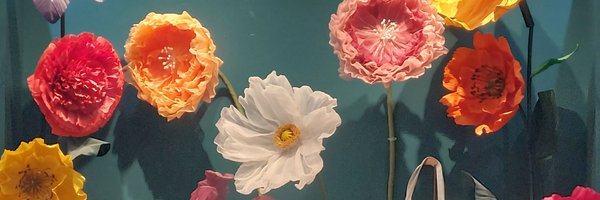 apledoorn Profile Banner