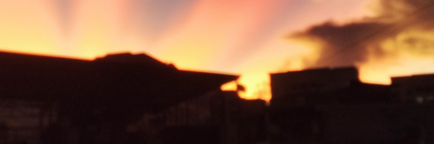 ZetFights banner