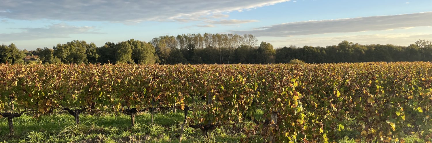 Chateau la Levrette banner