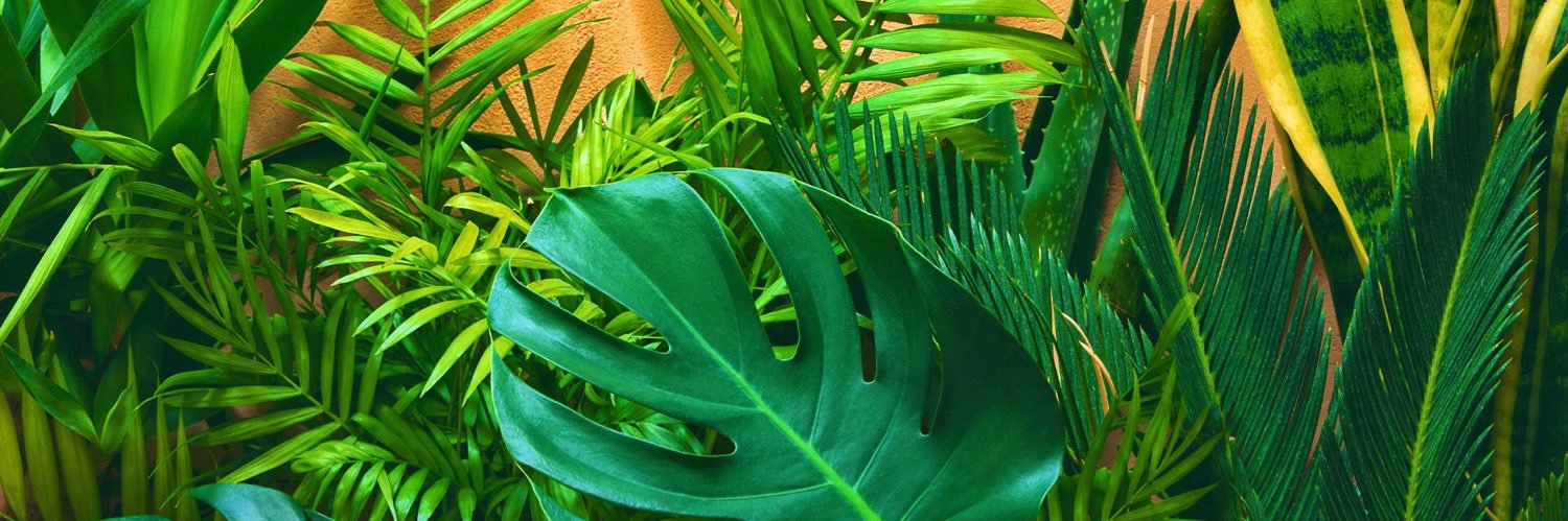 yashevich's profile banner image