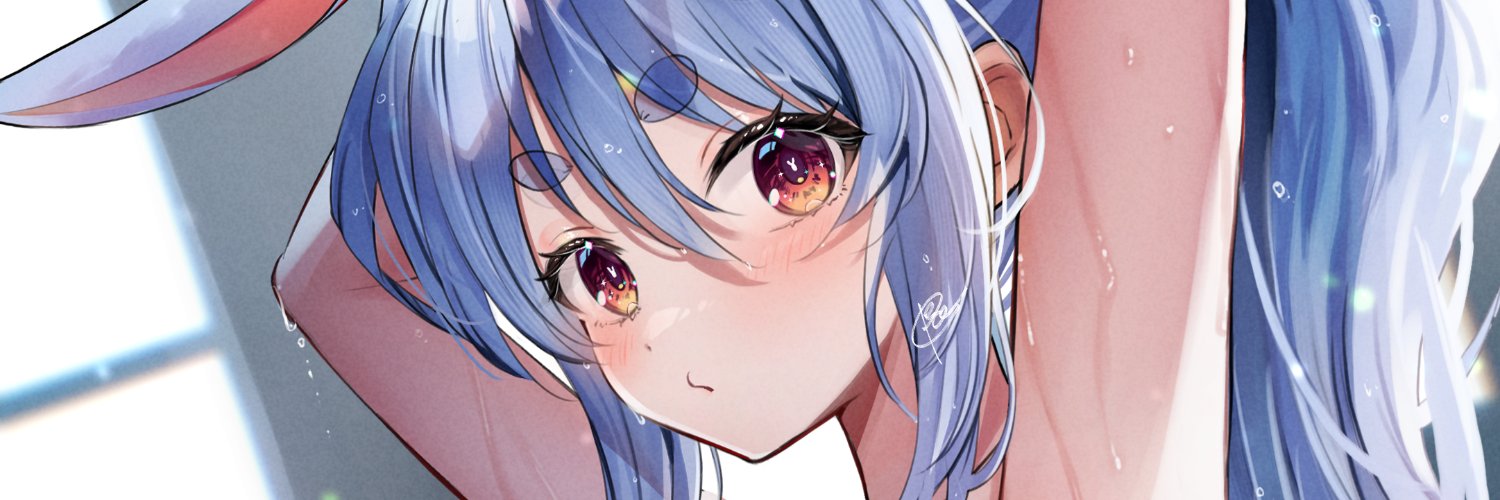 pecco's banner