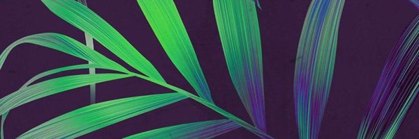 spoi Profile Banner
