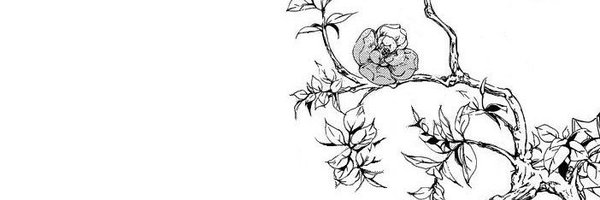 hdlssowl Profile Banner