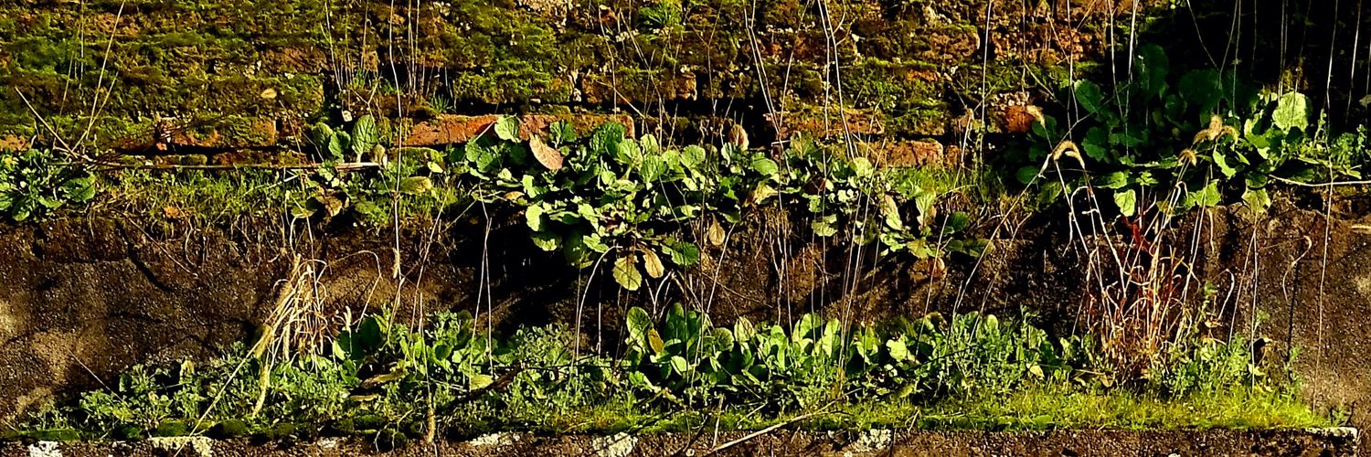 hmdr151's profile banner image