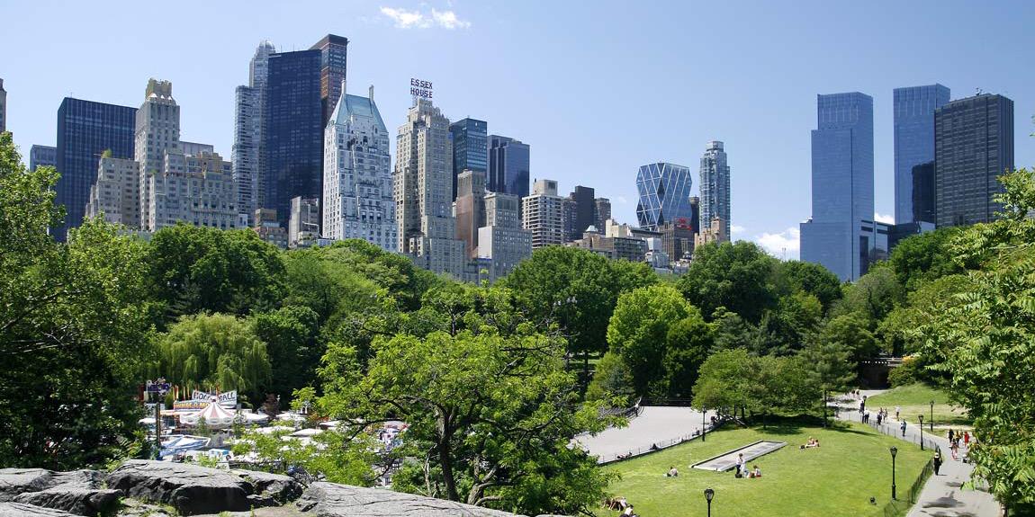 Blueberry Sports banner