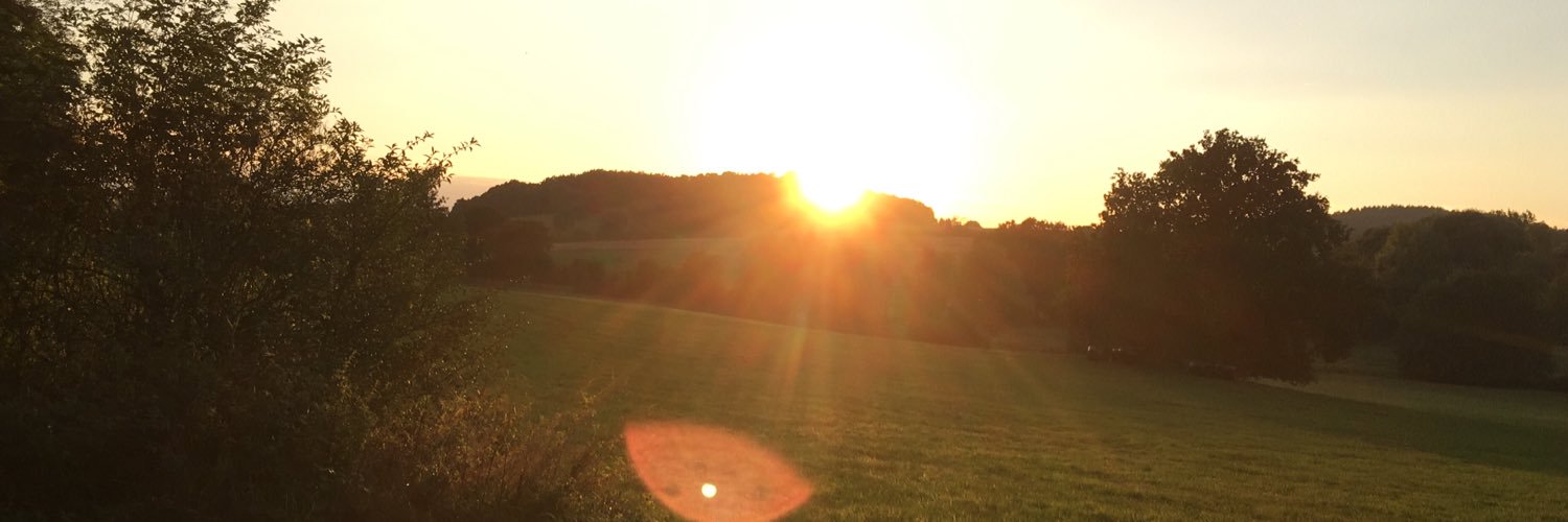 .Wolfram Sauer banner