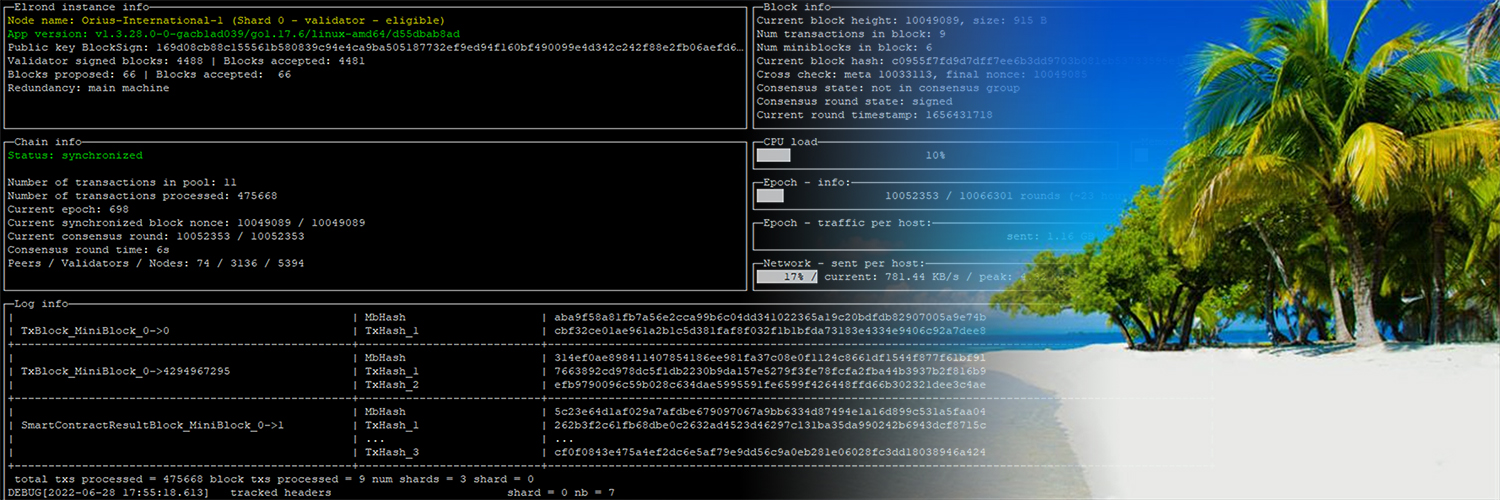 Orius International Investment LLC banner