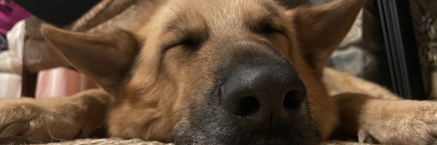 emilyputtick_'s profile banner image
