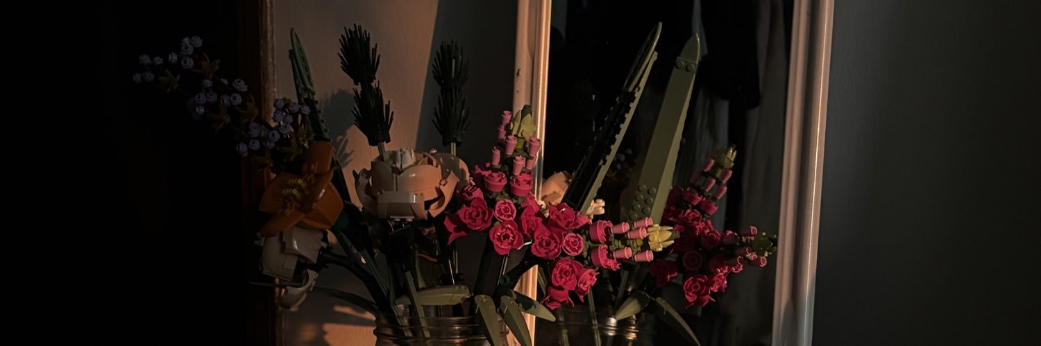 pizarini's profile banner image