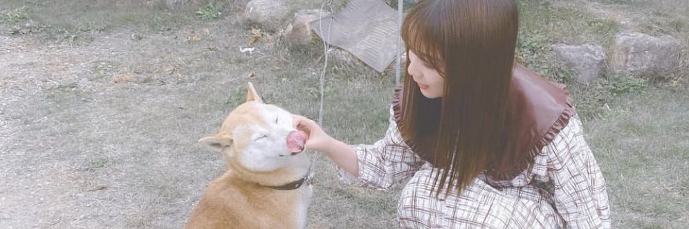 Yo_oimo_Da's profile banner image