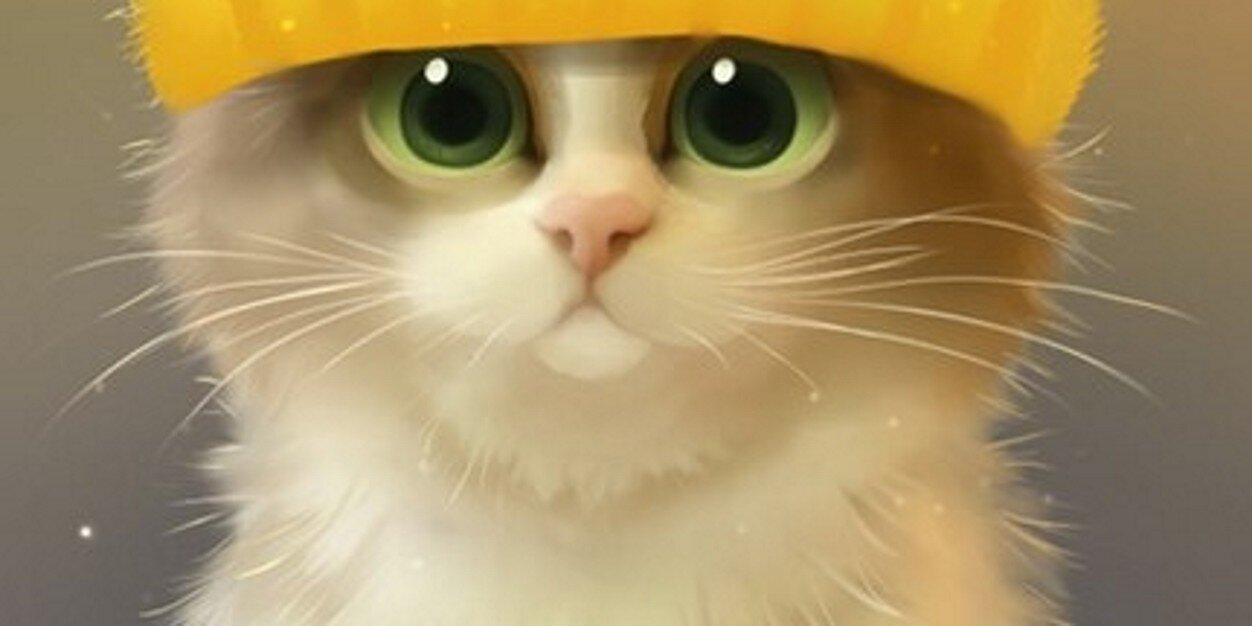 DarishkaSD's profile banner image