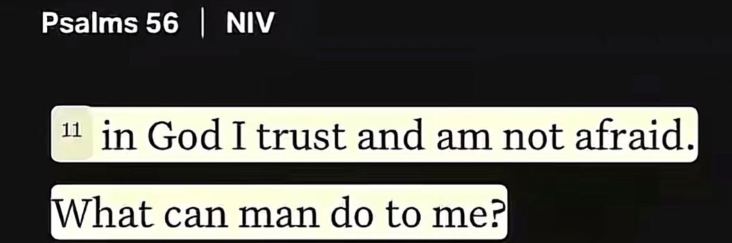 O’Ryan Mosley banner