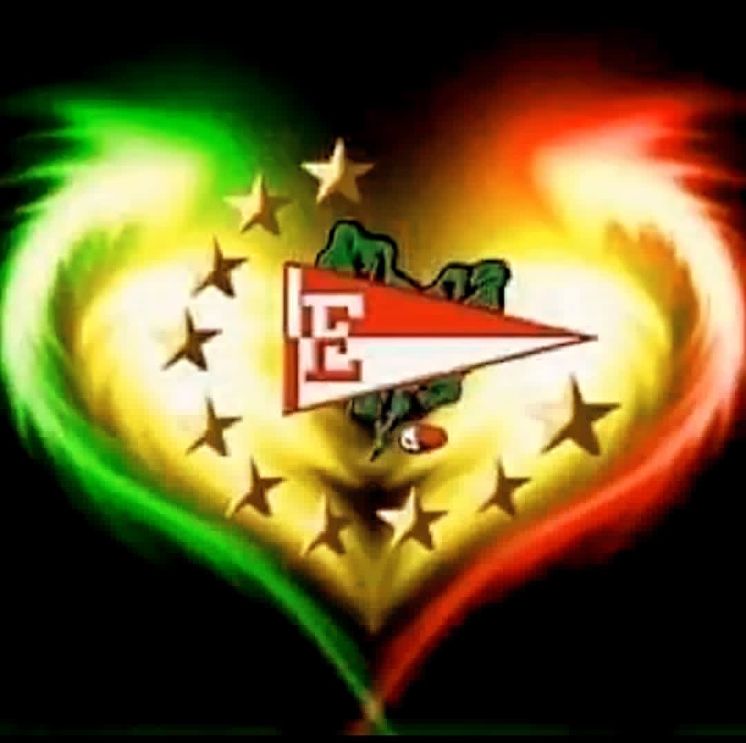 AViscussi's profile banner image