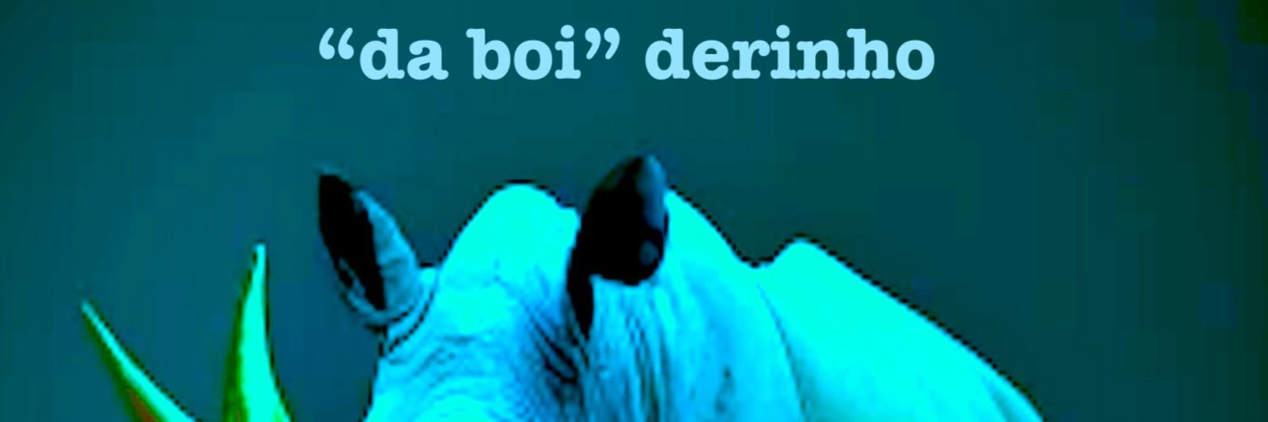 da boi derinho banner