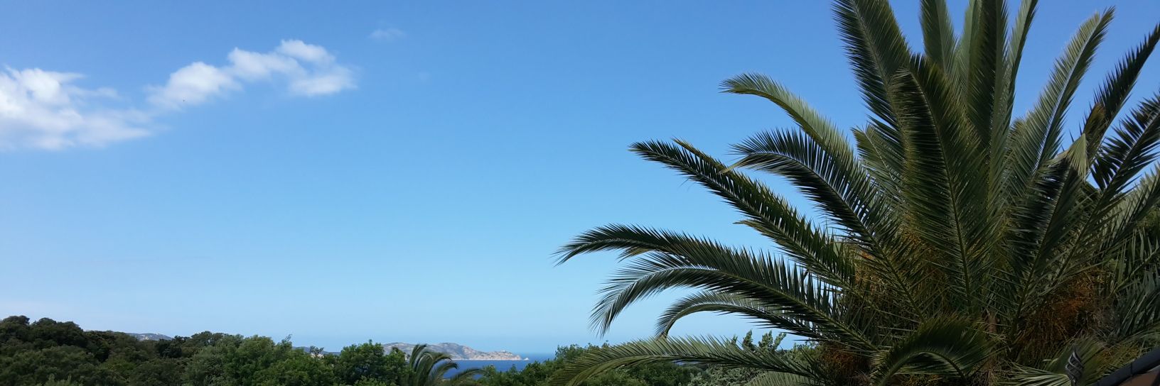 HAMONIAUX Gilles banner