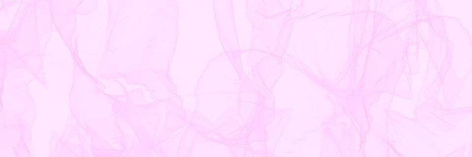 Ingeborg Schrijver banner