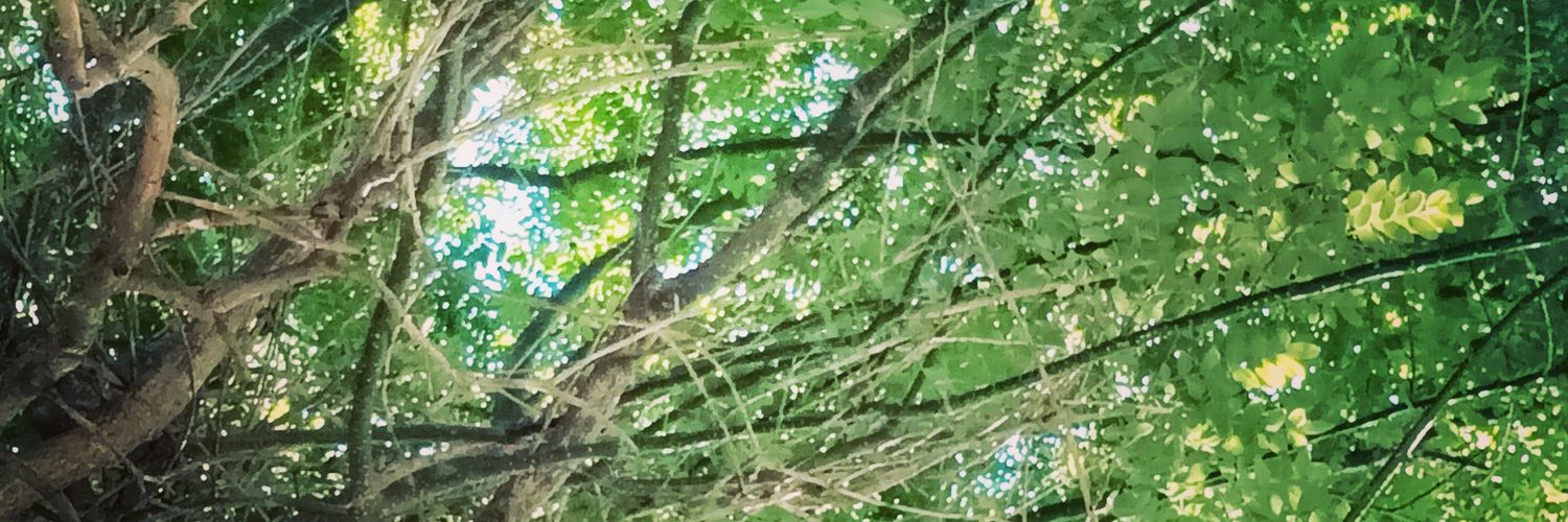75Asavas's profile banner image