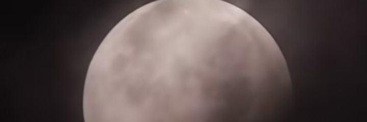 oxyy🐾 banner