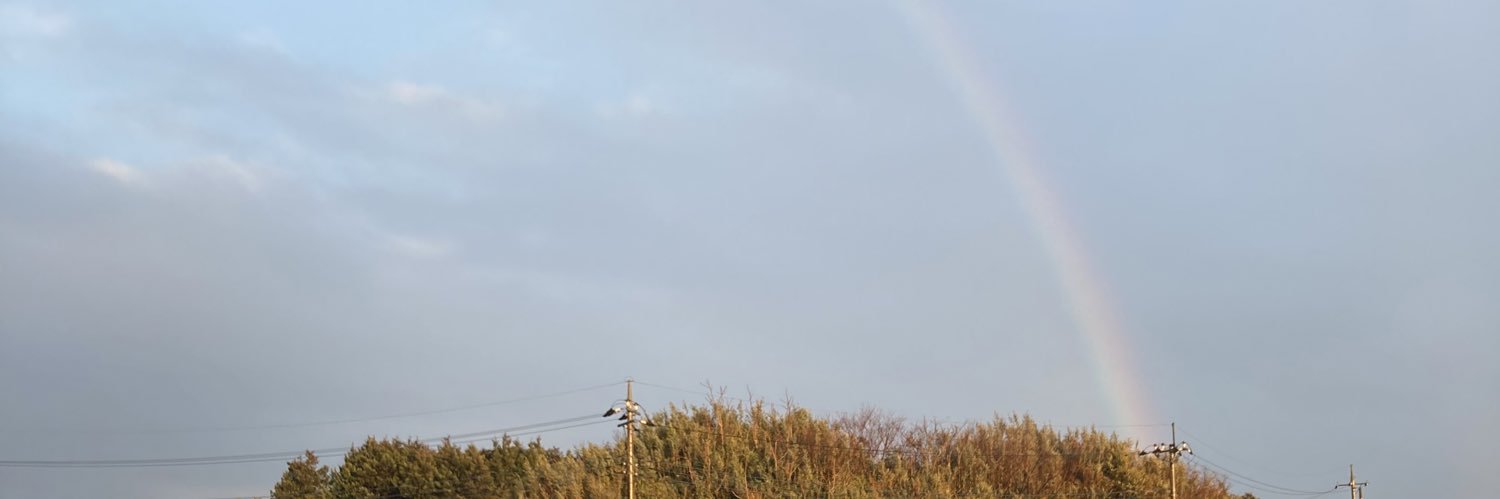 lion9214's profile banner image