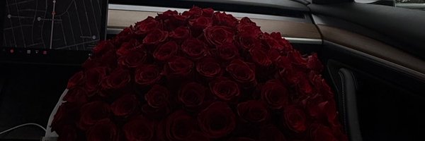 darealtootiee2 Profile Banner