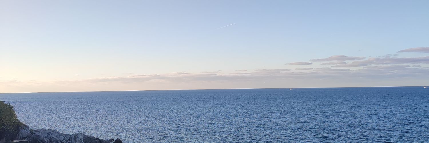 gowithtthetimes's profile banner image