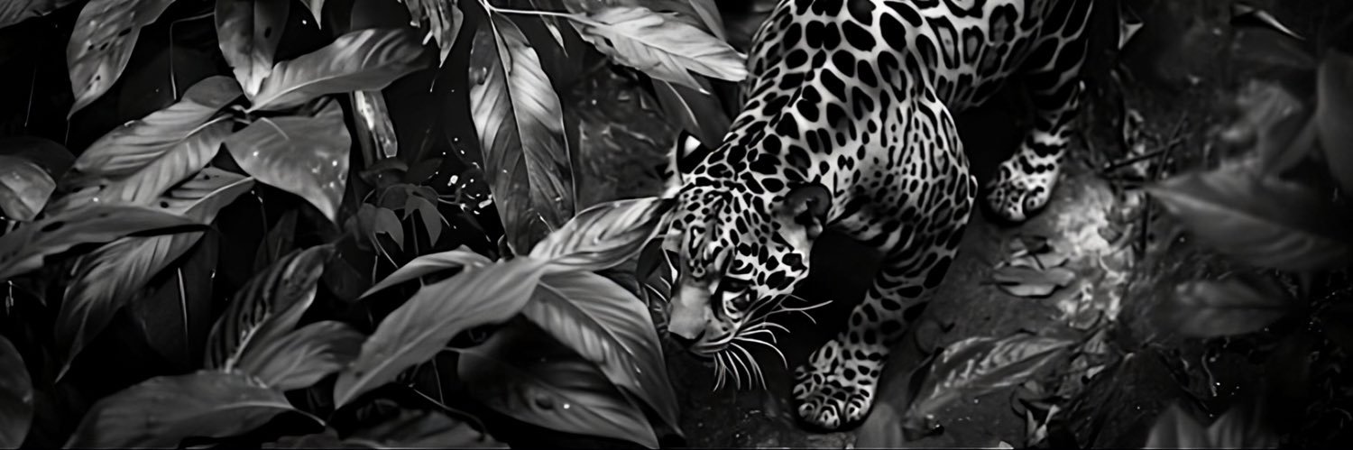 Alexitick0's profile banner image