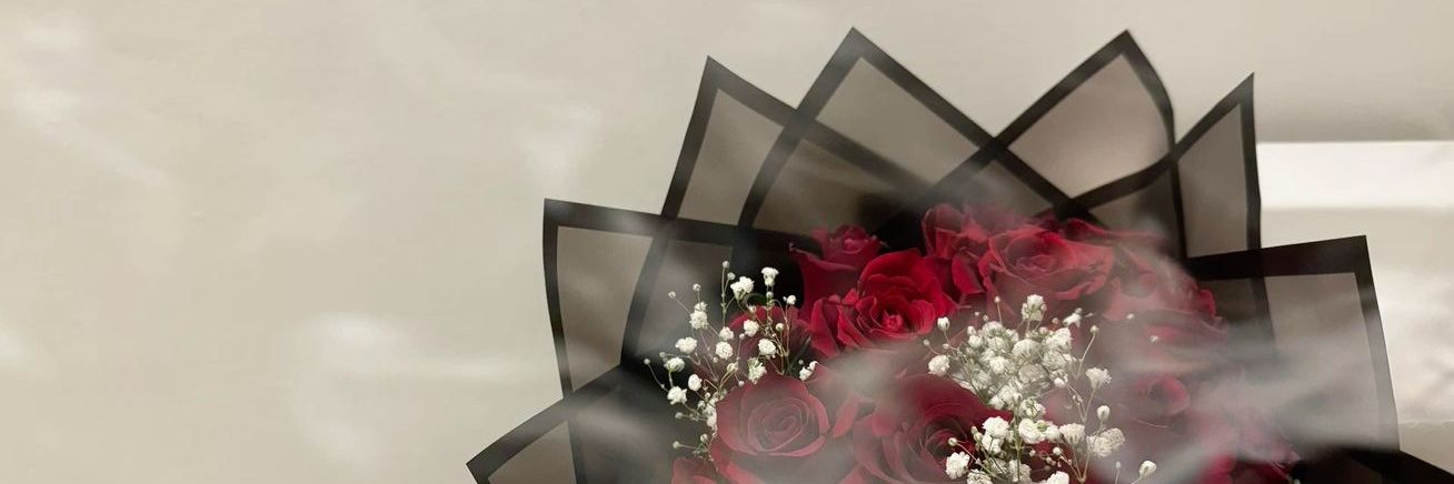 allmia_'s profile banner image