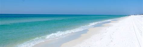 iluvflorida's profile banner image