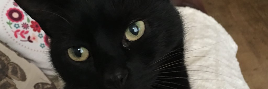 Margaret Martin 🍀 banner