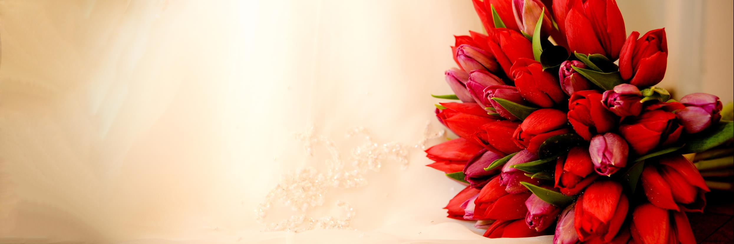 thewedco's profile banner image