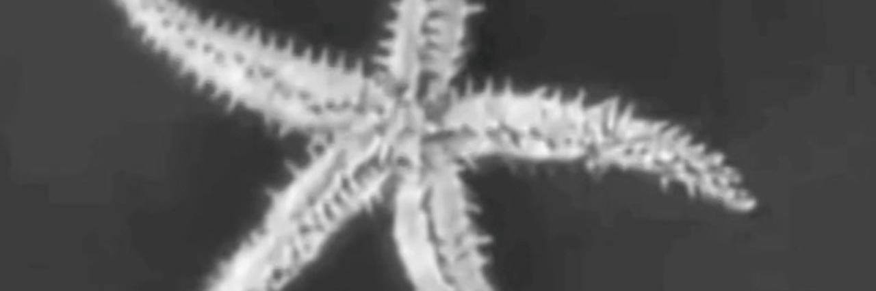 黙壺子フィルム・アーカイブ トリビュート banner