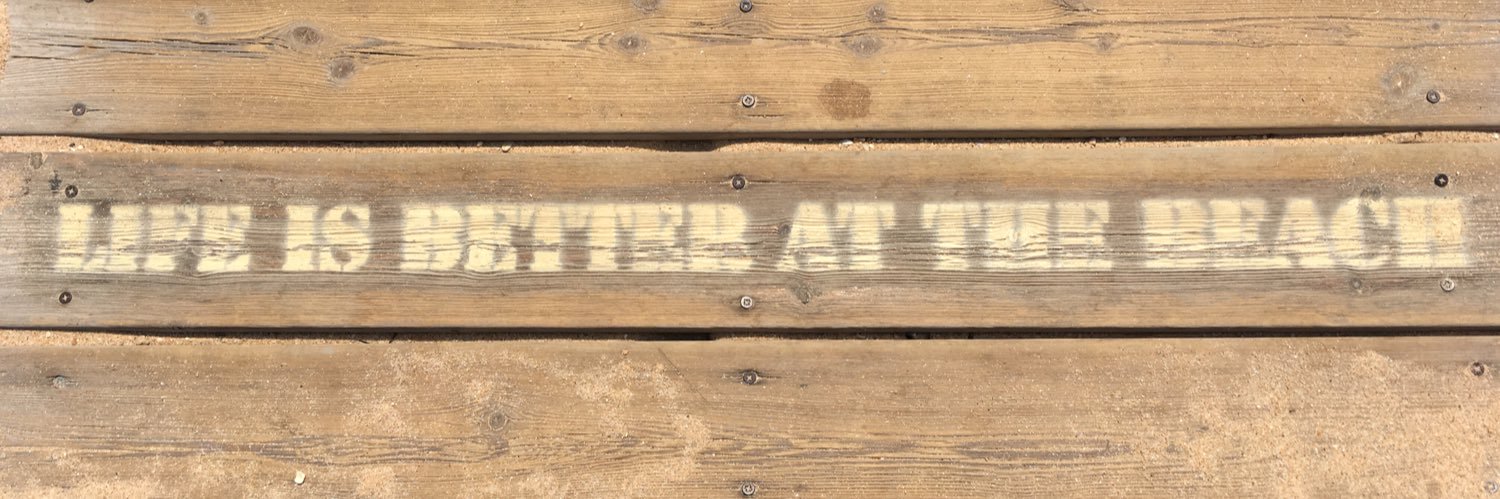 carolina alemany banner