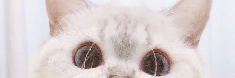 Ispera- banner