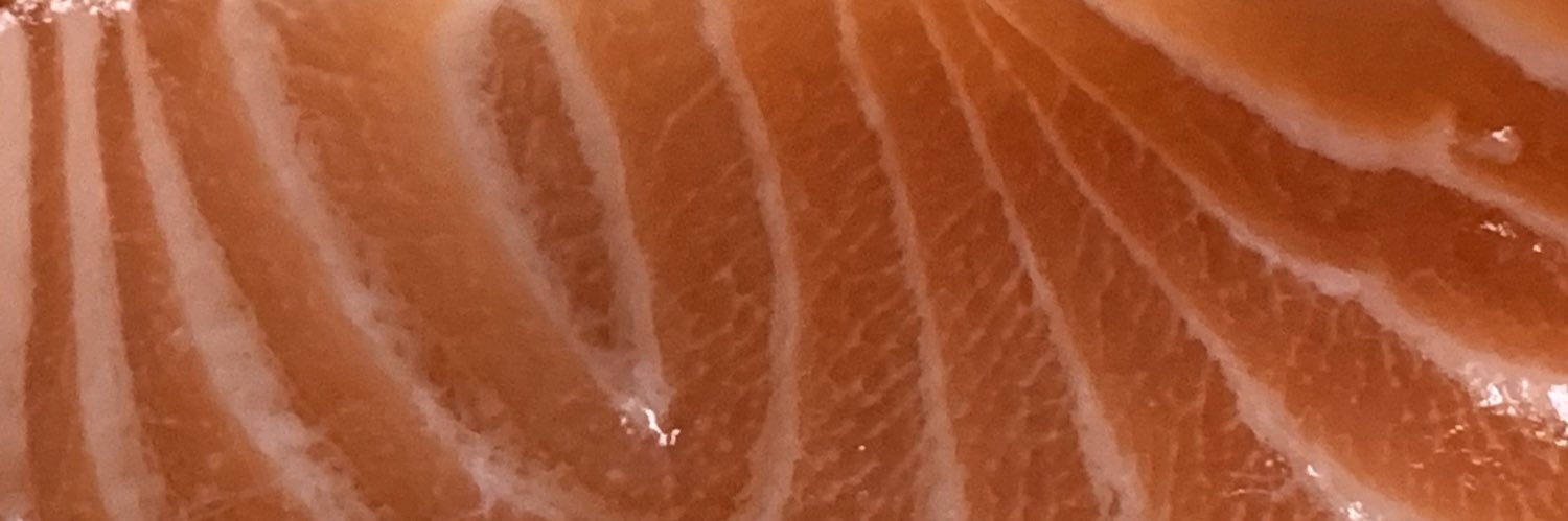 魚 banner