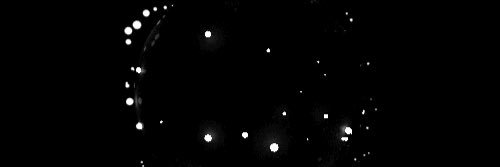 LauraCesaro_'s profile banner image