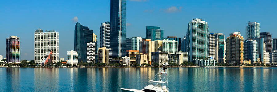 Gabrielle Lyn D’Alemberte banner