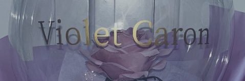 𝓥𝓲𝓸𝓵𝓮𝓽 𝓒𝓪𝓻𝓸𝓷 banner