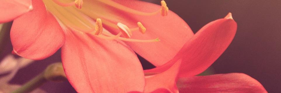 daleitch's profile banner image