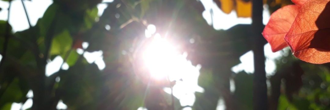 TwinkleArin's profile banner image