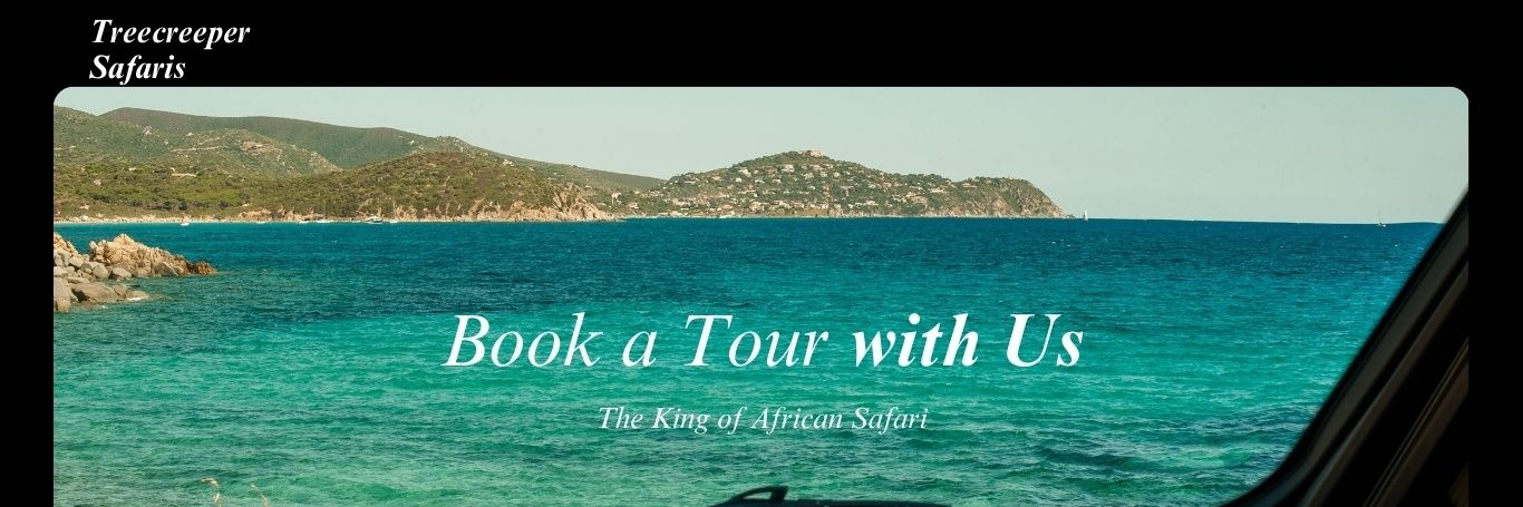 Geoffrey Kimatu 🇺🇲🇰🇪 banner