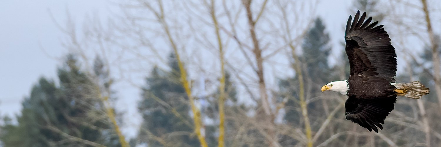 Robbinsdar's profile banner image