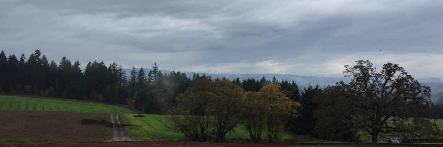sgoering's profile banner image